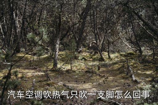 汽车空调吹热气只吹一支脚怎么回事