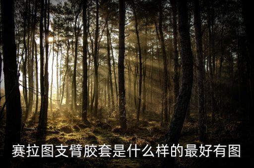 赛拉图支臂胶套是什么样的最好有图