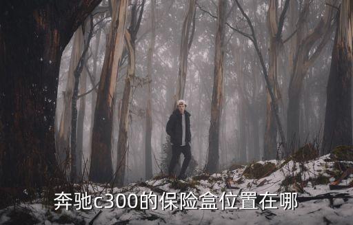奔驰c300的保险盒位置在哪