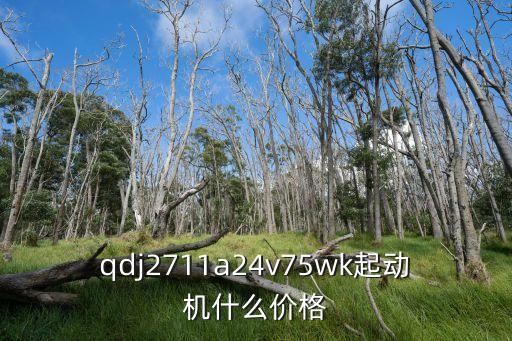 瑞安起动机730多少钱，N73和N78那个好呀行货的都要多少钱呀在瑞安那里买了
