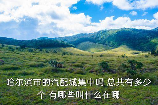 哈尔滨奔马汽配城都卖什么，哈尔滨除了奔马汽配城还有别的地方卖洗车设备么要设备比较全一