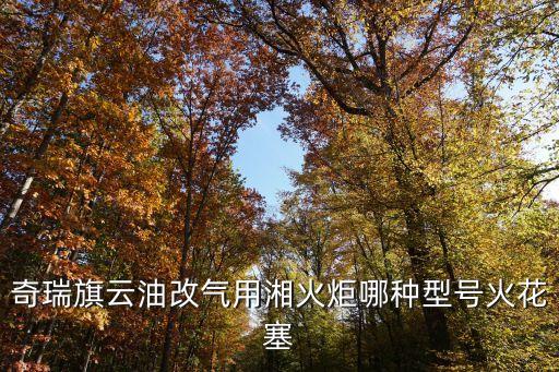 奇瑞旗云油改气用湘火炬哪种型号火花塞