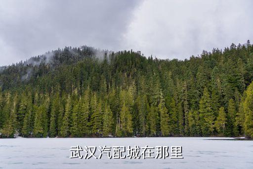 湖北哪里有汽配城，湖北省荆门市有没有大一点的汽配城或者商家比较集中一点的汽配市场