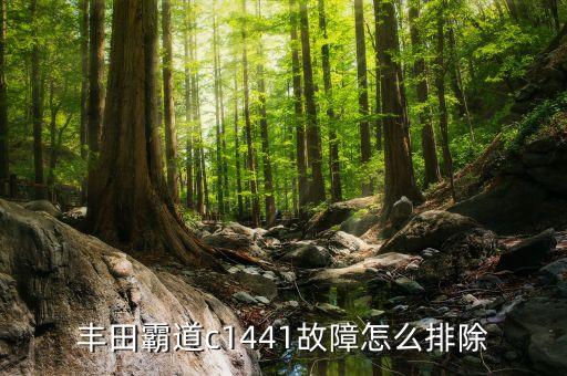丰田霸道c1441故障怎么排除