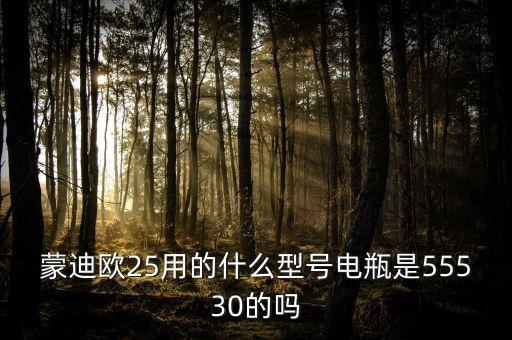 蒙迪欧25用的什么型号电瓶是55530的吗