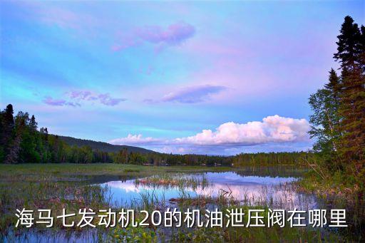 海马7机油压力阀在哪里，海马七发动机20的机油泄压阀在哪里