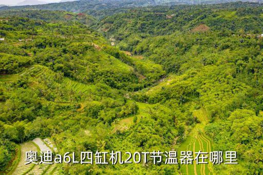 奥迪a6L四缸机20T节温器在哪里