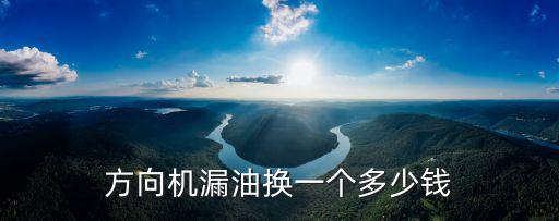 方向机漏油换一个多少钱