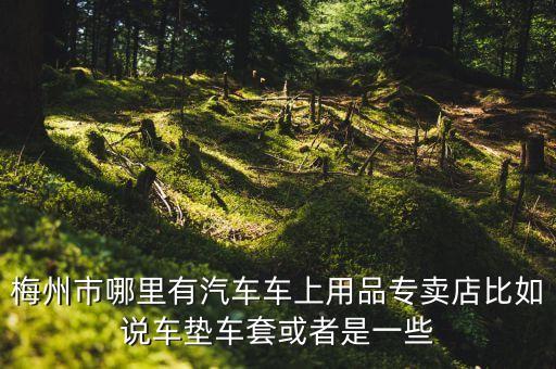 梅州市哪里有汽车车上用品专卖店比如说车垫车套或者是一些