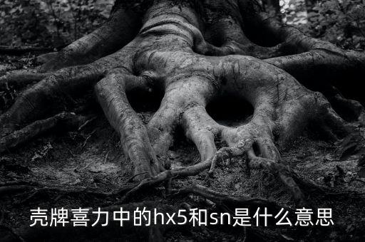壳牌润滑油hx5表示什么，黄壳机油hx5和10w40啥意思