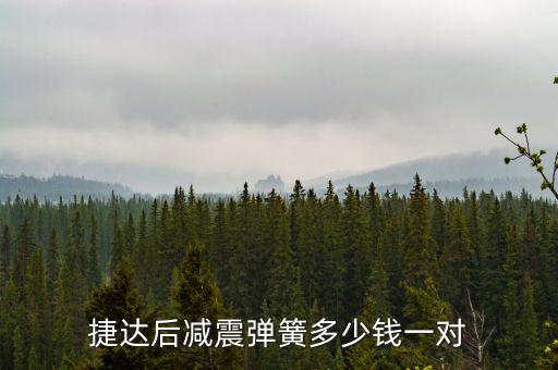 老捷达减震弹簧多少钱，06年捷达伙伴后减震正厂件多少钱一支