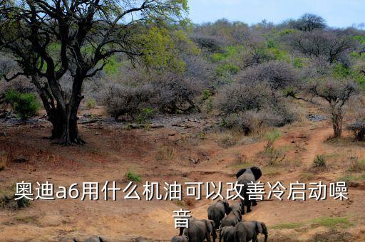 奥迪a6用什么机油可以改善冷启动噪音