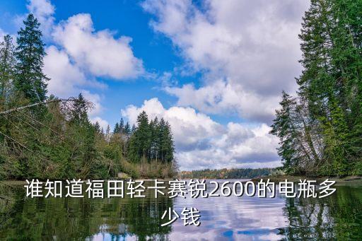 轻卡电瓶多少钱，轻型普通货车换电瓶要多少钱本人是仙居来的