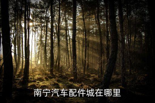 南宁汽车配件城在哪里