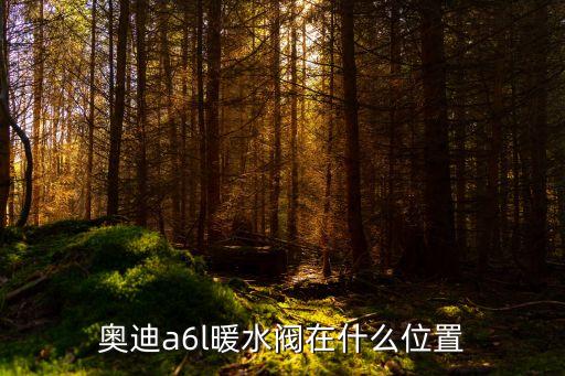 奥迪a6l暖水阀在什么位置