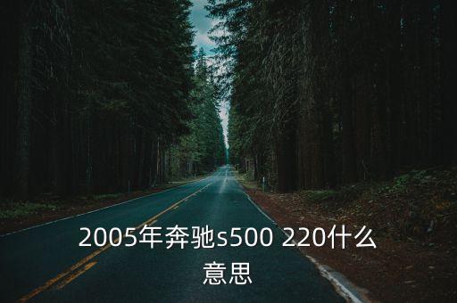 2005年奔驰s500 220什么意思