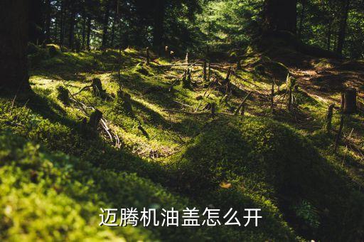 迈腾机油孔如何打开，迈腾20怎么加机油当初4s店换的时候多了半桶开了几个月想再续