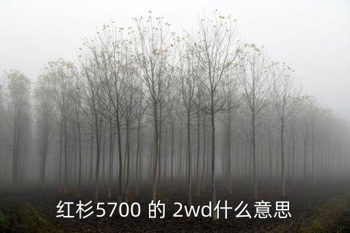 红杉5700 的 2wd什么意思