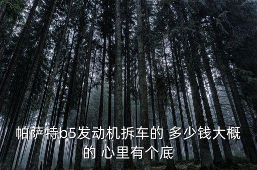 帕萨特b5前发动机舱盖多少钱，帕萨特b5发动机拆车的 多少钱大概的 心里有个底