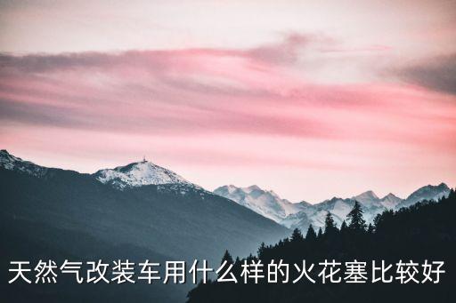 天然气改装车用什么样的火花塞比较好