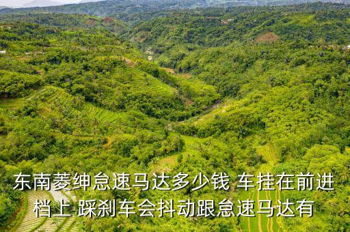 东南菱绅怠速马达多少钱 车挂在前进档上 踩刹车会抖动跟怠速马达有