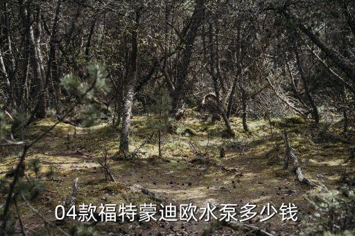 蒙迪欧智胜水泵多少钱，福特蒙迪欧制胜助力泵有响声换一个多少钱