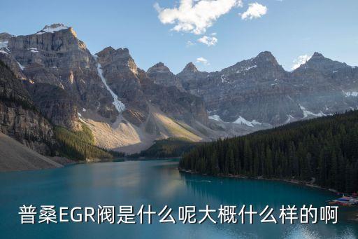 eGR阀总成图片多少钱，普桑EGR阀是什么呢大概什么样的啊