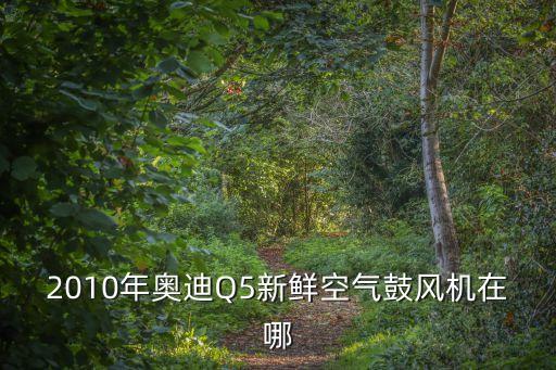 2010年奥迪Q5新鲜空气鼓风机在哪