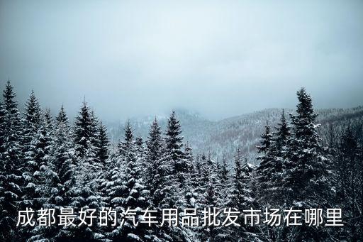成都最好的汽车用品批发市场在哪里
