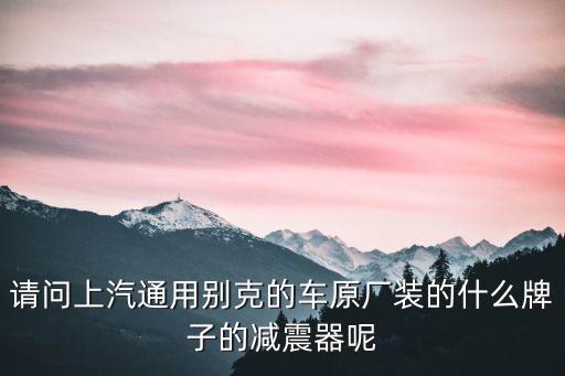 请问上汽通用别克的车原厂装的什么牌子的减震器呢