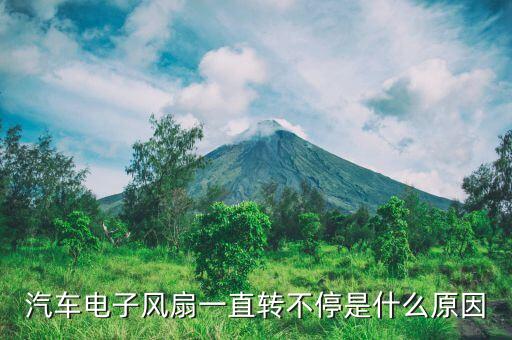 汽车电子风扇一直转不停是什么原因