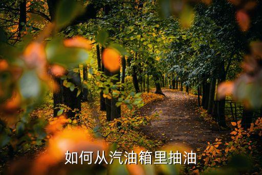 带卡头的油箱油管怎么拨，比亚迪油箱油管是怎样取下来的