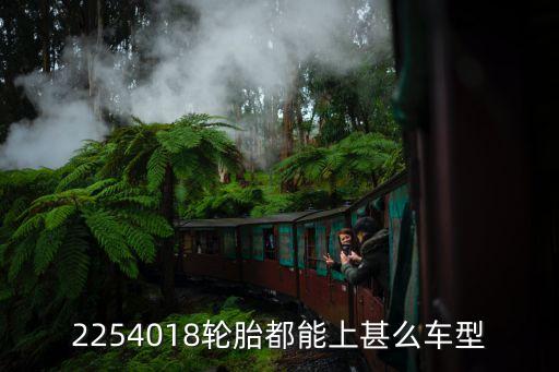 25540r18什么车能用，15款奔驰e200能不能用25545r18轮胎