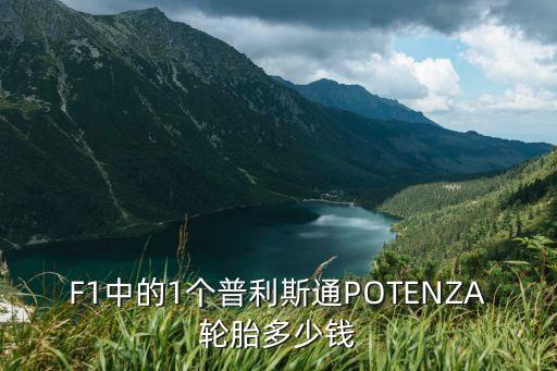 F1中的1个普利斯通POTENZA轮胎多少钱