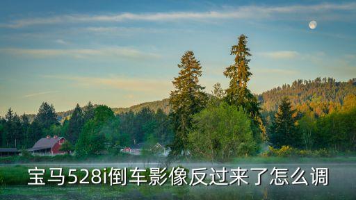 宝马528i倒车影像反过来了怎么调