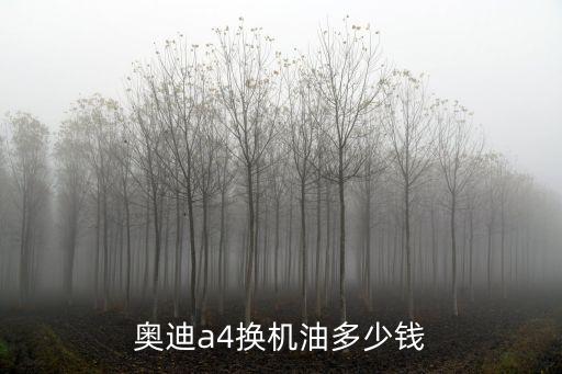 奥迪a4换机油多少钱