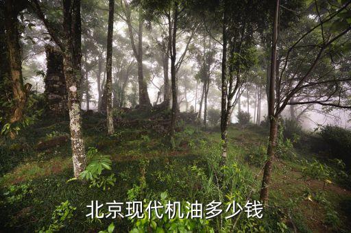 北京现代机油多少钱