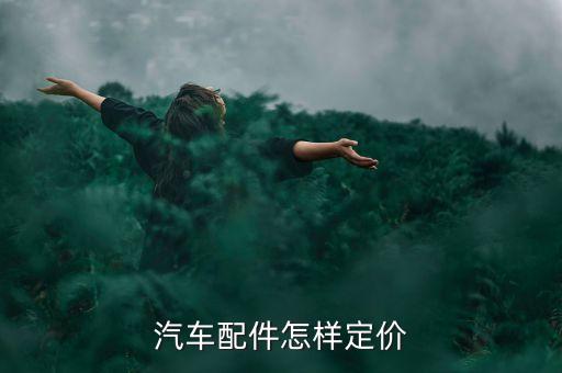 怎么查汽车零配件价格，汽车查配件价格的网站有哪些