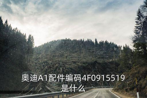 奥迪A1配件编码4F0915519是什么