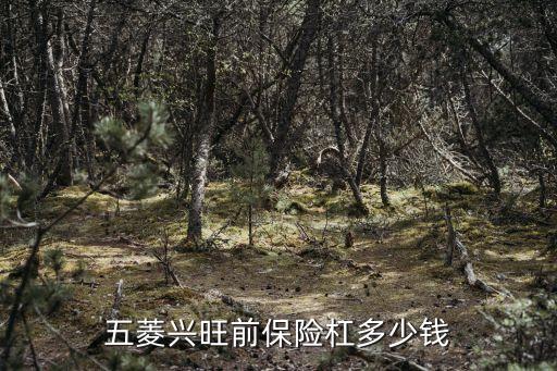 五菱兴旺前保险杠多少钱