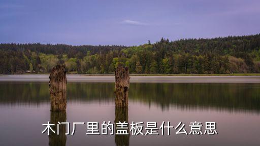 木门厂里的盖板是什么意思