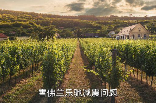 乐驰原厂是什么减震，雪佛兰乐驰原厂后减震器是双向阻尼的