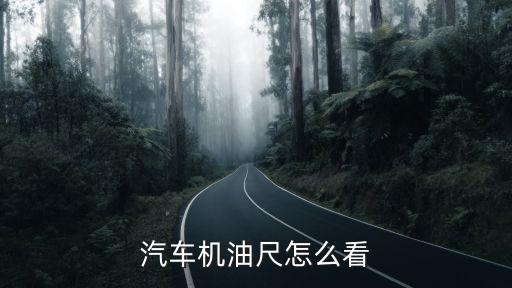 2004款E90机油尺怎么读，机油尺 怎么看
