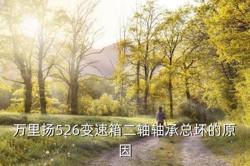 万里扬526变速箱二轴轴承总坏的原因