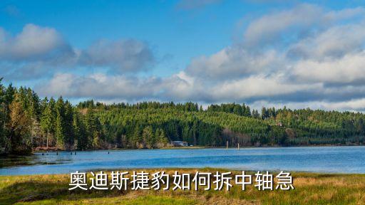 奥迪斯捷豹如何拆中轴急