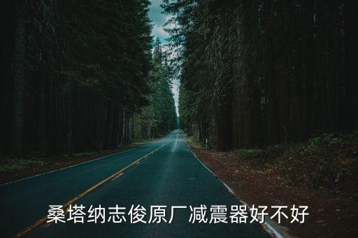lee减震器怎么样，LEE这个品牌如何