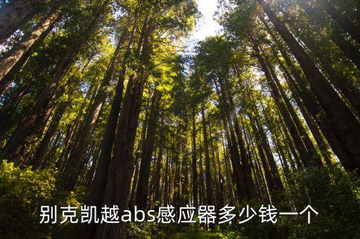 凯越制动灯感应器多少钱，别克凯越刹车灯多少钱一个