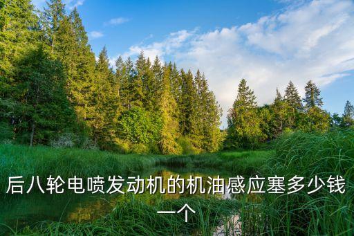后八轮电喷发动机的机油感应塞多少钱一个