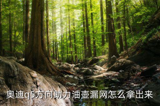 奥迪q5方向助力油壶漏网怎么拿岀来