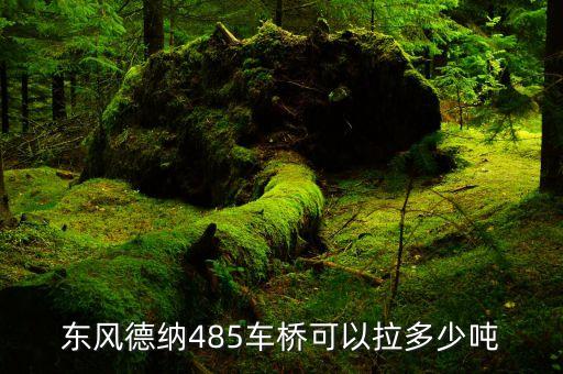 485后桥多少吨，东风德纳485车桥可以拉多少吨